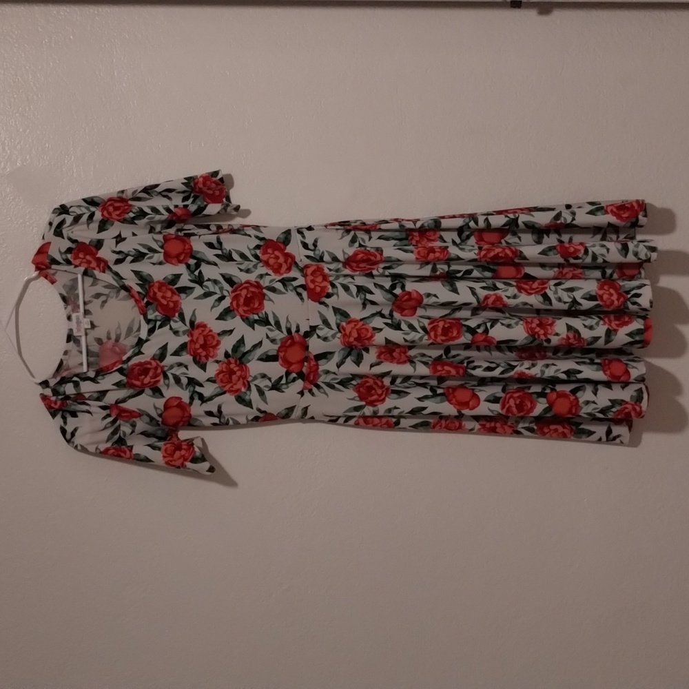 Lularoe Medium Nicole Dress